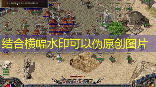 七彩皓月传奇：沃玛入口坐标介绍