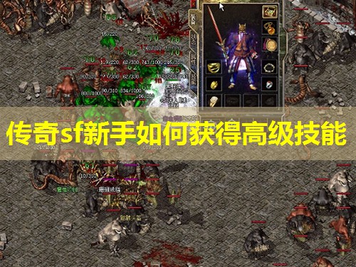 传奇sf新手如何获得高级技能