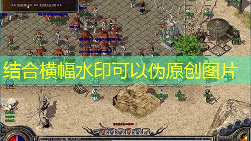 新启传奇私服:新手快速上手秘籍 新启传奇私服:新手快速上手秘籍