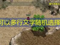  仿盛大传奇：防御戒指与愤怒戒指介绍