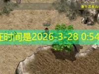  仿盛大传奇：法师武器升级攻略