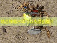  传奇新启：如何赚取帮贡